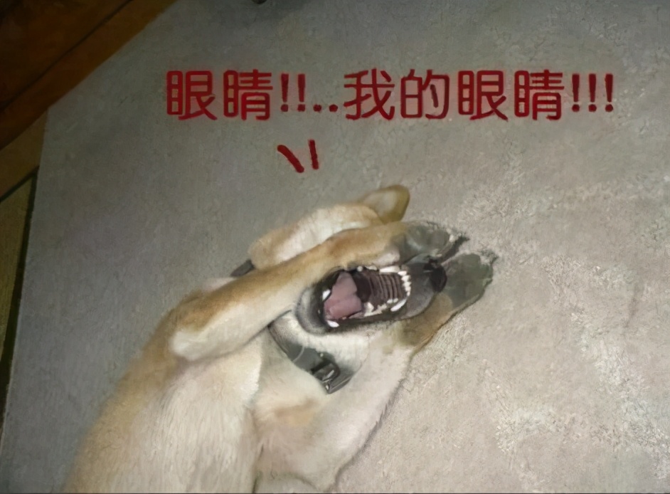 和平精英外挂_和平精英外挂_和平精英外挂