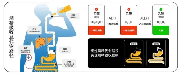 外挂被抓_嘟嘟外挂_外挂