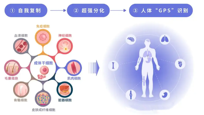嘟嘟外挂_外挂_外挂被抓
