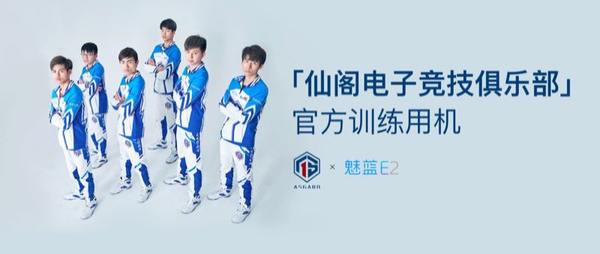 王者荣耀战队仙阁电子